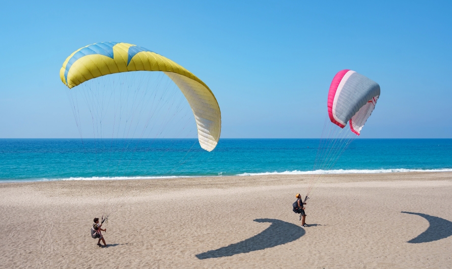 WhatsApp Image 2026-02-18 at 2.16.40 PM